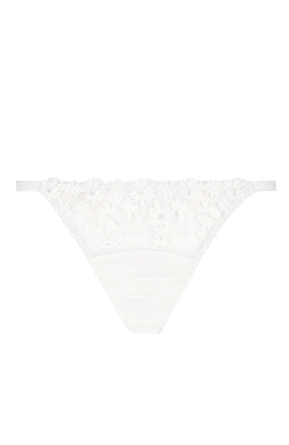 Daisy Brief