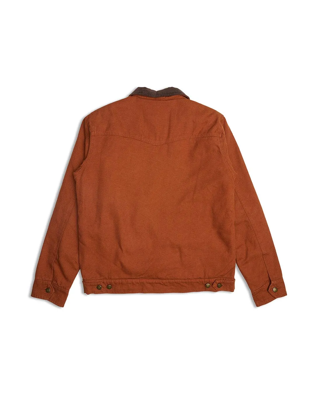 Hawk Canvas Jacket - Tan