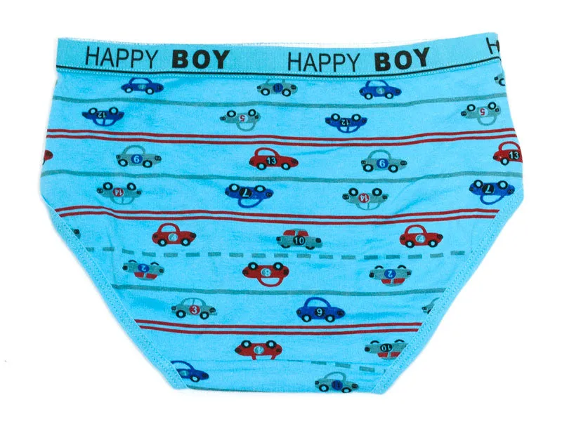 Little Boys Cotton Underwear