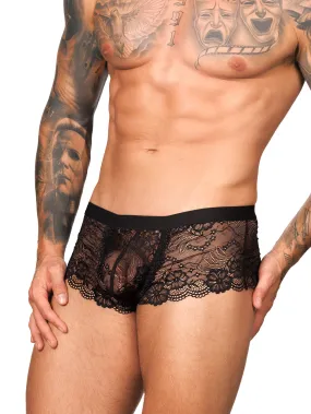 Logan Lace Trunk