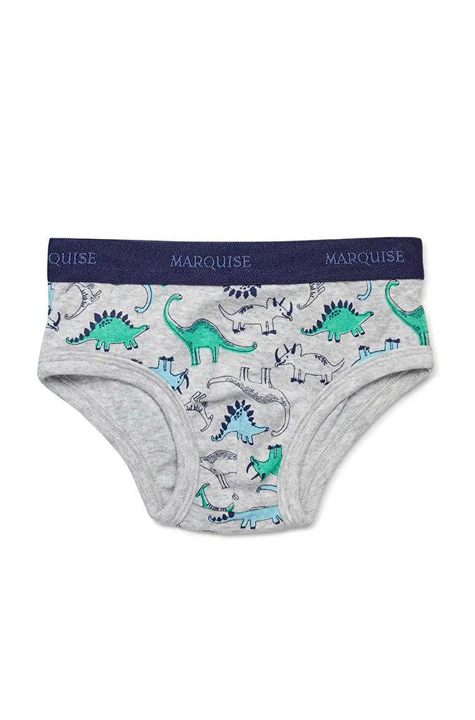 Marquise Boys Dinosaurs 2 Pack Underwear - Blue