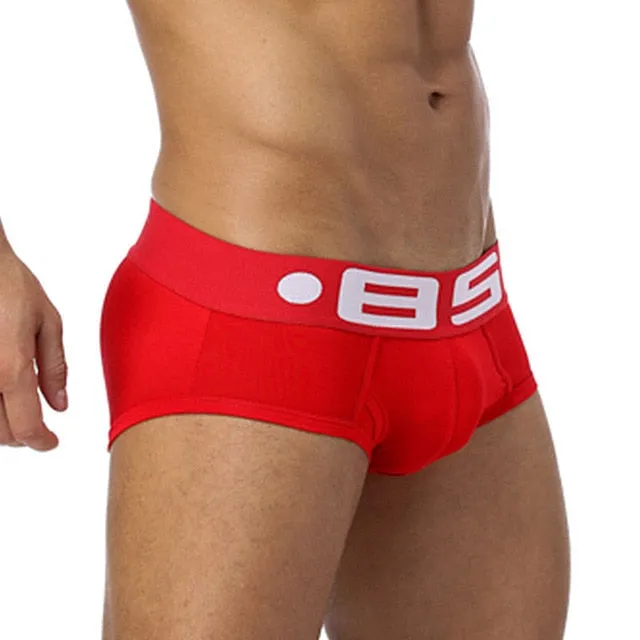 Mens Mesh Underpants Cueca Masculina U Pouch