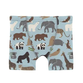 Print Boy's Boxer Brief in Spring Sky Zoo