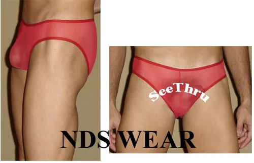 Sheer Roja Bikini Underwear Small - BLOWOUT SALE!