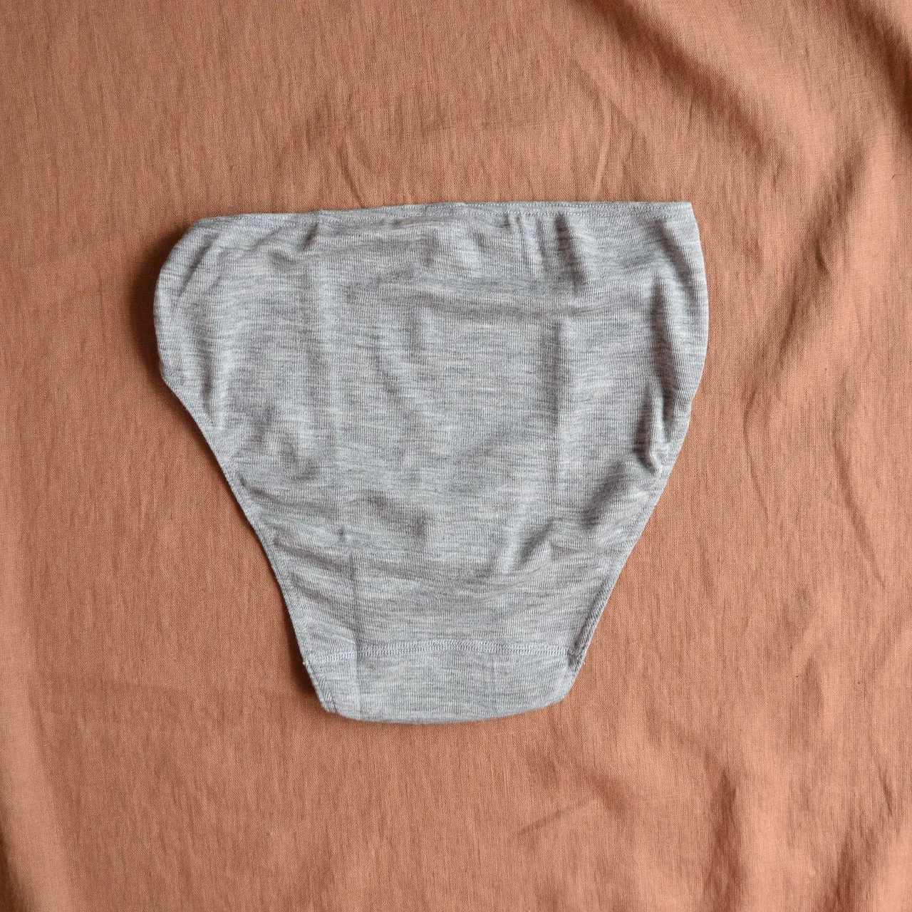 Women's Bikini Briefs in Organic Wool/Silk